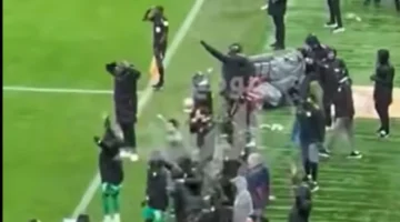 دموع وتوتر.. كواليس مقاعد بدلاء السنغال في الدقائق الأخيرة من نهائي أفريقيا